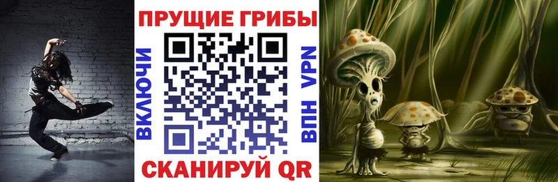 продажа наркотиков  Калтан  Псилоцибиновые грибы Magic Shrooms 